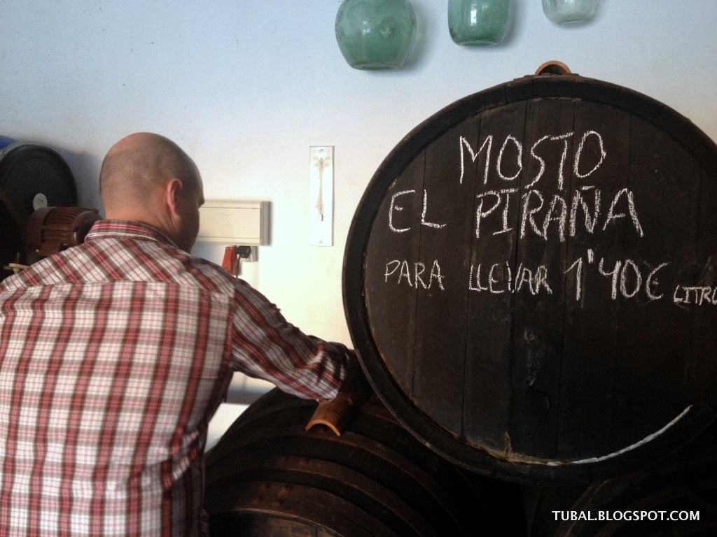 Pirana 1