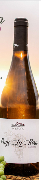 Screenshot 2024-04-21 at 10-28-46 ElPiran a_Vinos.pdf - Vinos de Pasto Bodega El Piraña.pdf