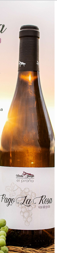 Screenshot 2024-04-21 at 10-28-46 ElPiran a_Vinos.pdf - Vinos de Pasto Bodega El Piraña.pdf
